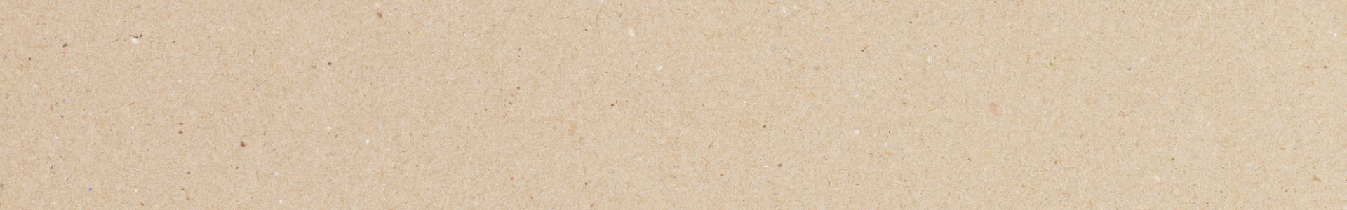 下層ページタイトルヘッダー