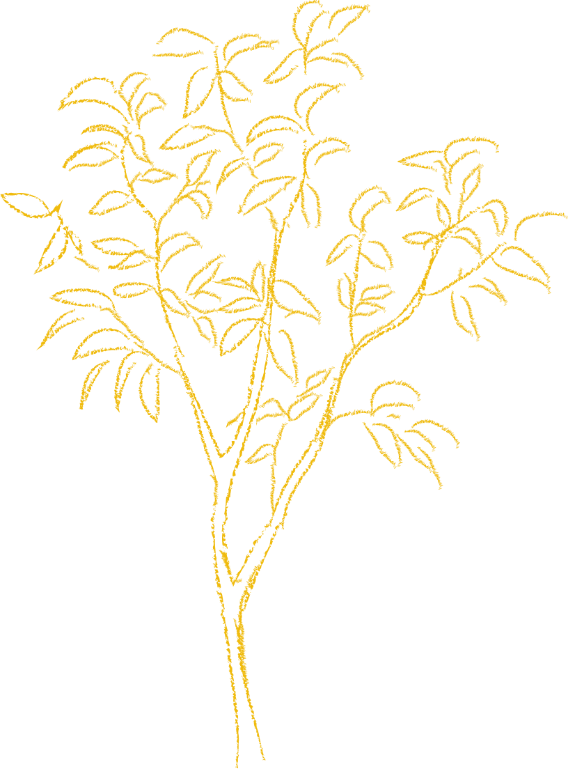 ナチュラルカフェ&バー モフモフのアイコン